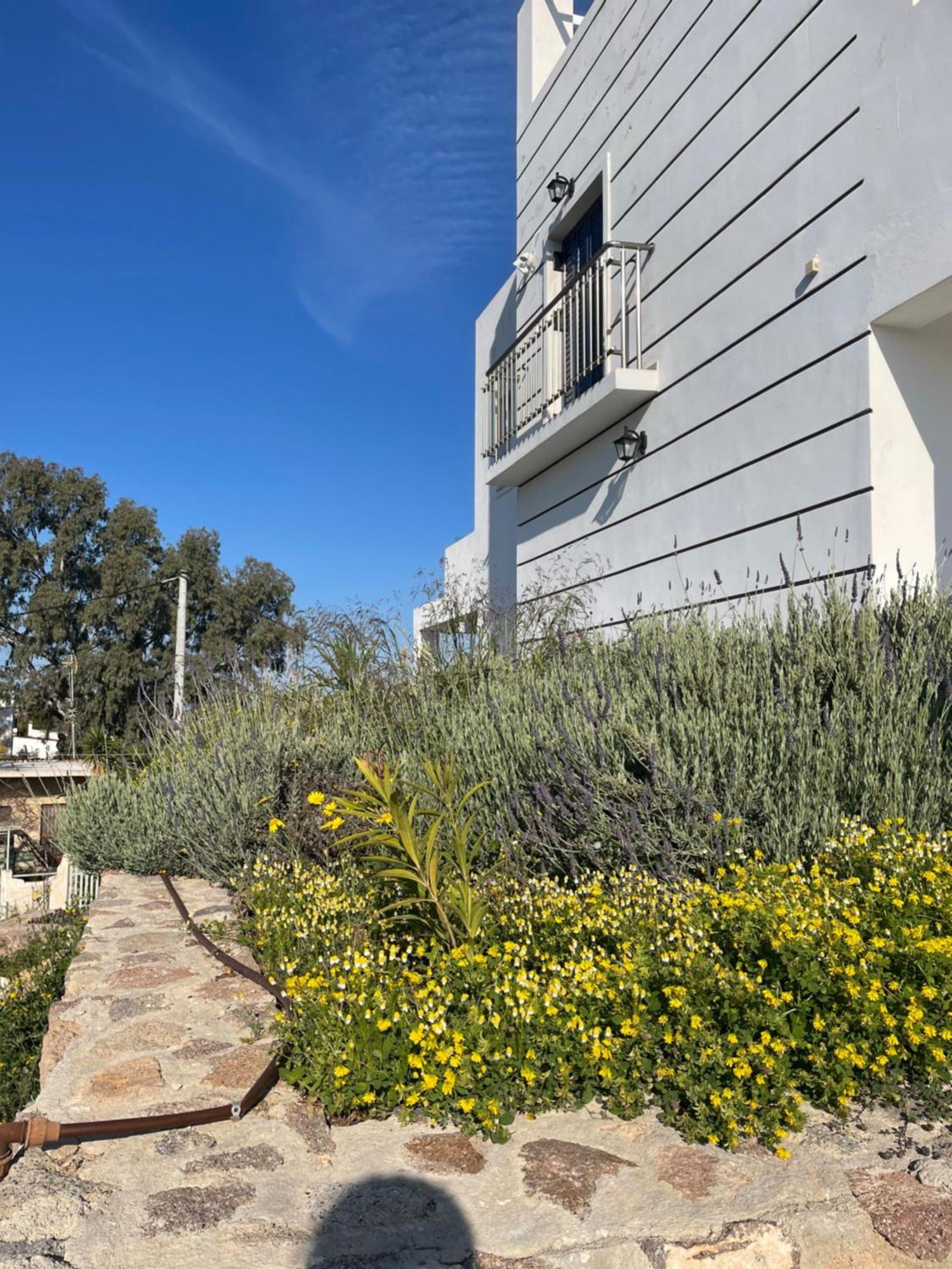 Souvala /Aegina. Excellent Location Luxury Villa. Vathi  Екстер'єр фото